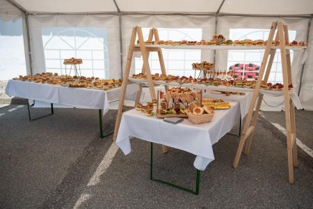 ZD (37 of 142)